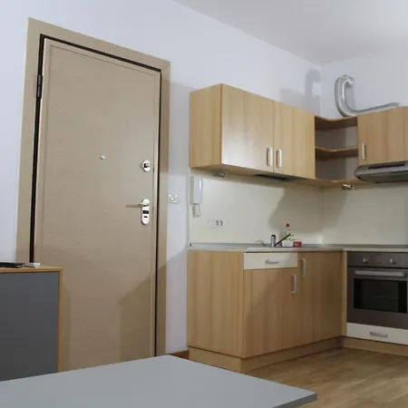Studio Apartament * Timişoara