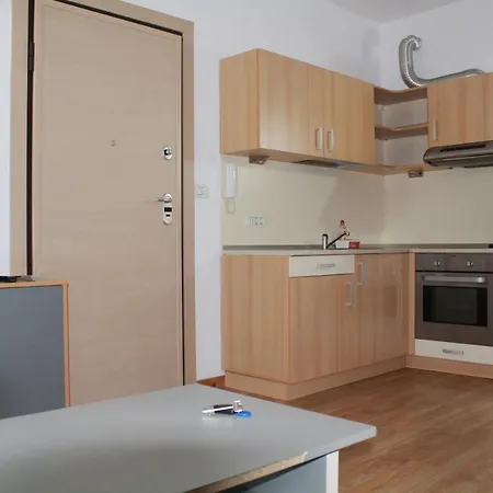 Studio Apartament * Timişoara